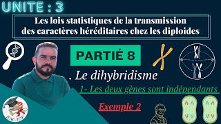 UNITÉ 3  Parti 8  le dihybridisme deux gènes indépendants  EXEMPLE 2 [upl. by Josiah]