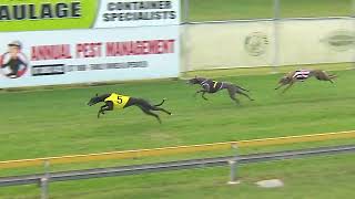 Capalaba07082024Race11 [upl. by Clabo]