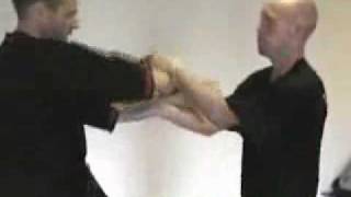 Wing chun fast hands [upl. by Ailahtan]