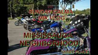 MISSISSAUGA NEIGHBORHOOD [upl. by Asyle]