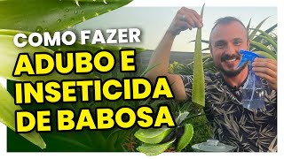 Como fazer um adubo e inseticida caseiro com babosa  Elimine as pragas do seu jardim [upl. by Fonzie]