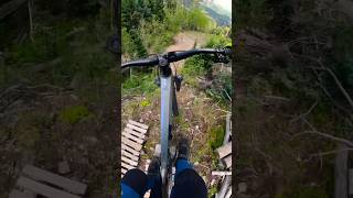 ⛔️ DON’T FALL OFF‼️ Pajarito Bike Park mtb downhill freeride [upl. by Lavery]