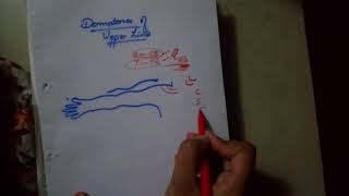 UPPER LIMB dermatomes drawing made FUN and easyanterior side [upl. by Harriman]