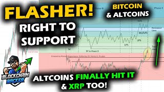 QUICK LIQUIDATION Finally Happens for Bitcoin Price Chart amp Altcoin Market XRP FINALLY HITS SUPPORT [upl. by Abla]