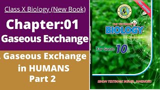 ch1 Gaseous Exchange in Human part 2  class 10 new biology book  BIOs Attraction [upl. by Buckler]