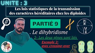 UNITÉ 3  Parti 9  le dihybridisme deux gènes liés  EXEMPLE 1 [upl. by Euv861]