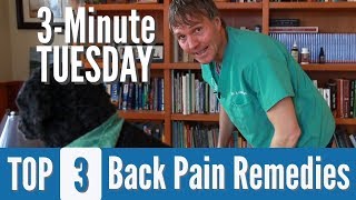 3 Minute Tuesday Natural Back Pain Treatment for Dogs and Cats [upl. by Lihp823]