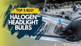 Best Halogen Headlight Bulbs 2024 🔥 Top 5 Best Halogen Headlight Bulbs Review [upl. by Aremihc]