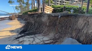 Maui beach erosion is direct impact of sea level rise global warming experts say  VIDEO [upl. by Akamaozu]