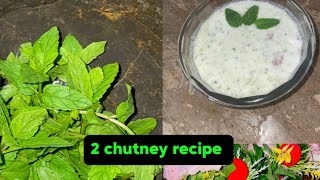 Two pudina chutney recipes ❤️  how to make chutney viralvideo chutney ytviral [upl. by Nylikcaj]