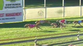 Capalaba21072024Race10 [upl. by Egin]