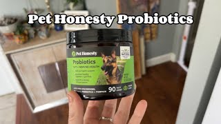 A Look Into Pet Honesty Probiotic Chews for Dogs [upl. by Ardnosal982]