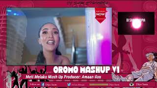 Best Oromo Mashup Music l Nonstop l hawitemam7327 l Best Oromo Music ZabiidaaShaShaampVarious Artists [upl. by Nirad874]