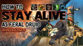 How to STAY ALIVE  Feral Druid Guide  Shadowlands PVP [upl. by Osy]