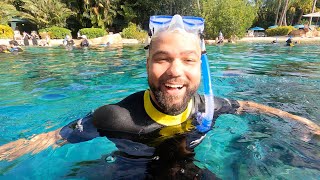 Im Back at Discovery Cove An AllInclusive Day Experience in Orlando [upl. by Odlaumor]