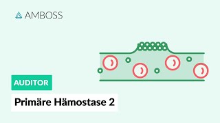 Primäre Hämostase  Teil 2  Physiologie und Medikamente  AMBOSS Auditor [upl. by Nnylyam432]