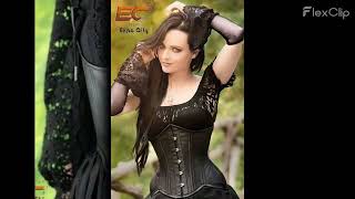 Mesh Corsets Velvet Underbust Corsets  Expo City Shop [upl. by Anjela]