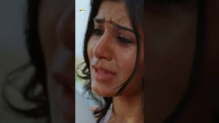 Samantha Cries For Jiiva  PremaVasantham  Shorts  YoutubeShorts  telugushorts  love [upl. by Seravart352]