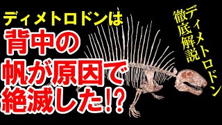 【ゆっくり解説】ディメトロドン絶滅の原因は背中の帆にあった！？ディメトロドンの特徴を徹底解説【ゆっくりがもっと恐竜を解説すんよ～ 第十二回後編】 [upl. by Demb]