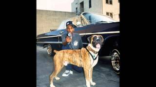 Method Man  We Some Dogs feat Redman amp Snoop Dogg [upl. by Enrico]