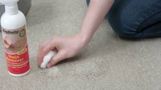 How To Remove Acid Based Carpet Stains White Wine Coffee Tea Fruit Juice etc [upl. by Melisent]