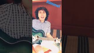 Rimmel  De Gregori  Cover  Musica Italiana 🎶 musicaitaliana song musica francescodegregori [upl. by Einnej791]