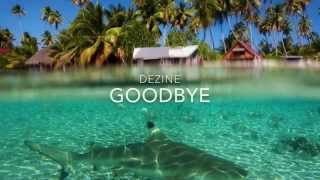 Dezine  Goodbye [upl. by Amliv]