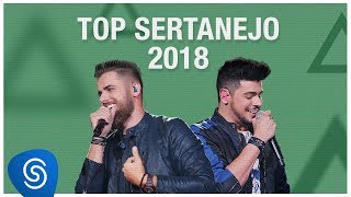 Top Lançamentos Sertanejo 2019  Os Melhores Clipes [upl. by Enidan60]