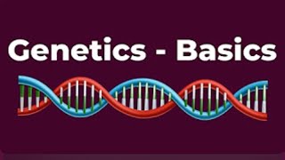 Developmental Psychology  BASICS OF GENETICS  Introduction to Genetics  DNA RNA Genes [upl. by Alleon288]