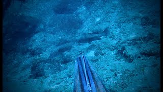 The offshore rock with the big golden grouper  Cyclades Spearfishing [upl. by Adalie]