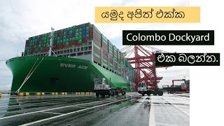 Colombo dockyard Sri Lanka 2023 [upl. by Nagar]