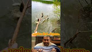 പുതിയ മീൻ പിടുത്തം mallutraveler fishingfreaks shorts mallu malayalam m4tech [upl. by Pedrick]