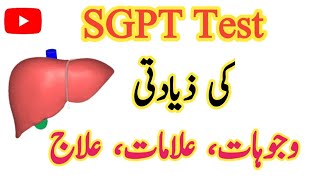 SGPT Test in Urdu Treatment Symptoms Causes amp Normal range [upl. by Pietro]