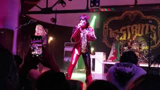 The Struts Primadonna Like Me Tula [upl. by Enylodnewg]