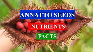 ANNATTO SEEDS  Health Benefits and Nutrients Facts [upl. by Watters323]