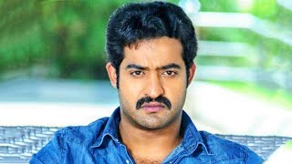 Dhammu l Jr NTR l Blockbuster Action Hindi Dubbed Movie l Trisha Krishnan Karthika Nair [upl. by Ellemac]