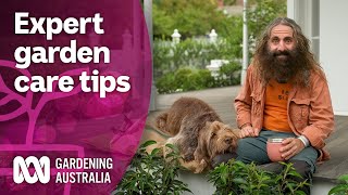 Come spend a day learning about garden maintenance from a designer  Discovery  Gardening Australia [upl. by Wilmott520]