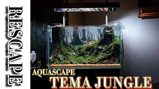 RESCAPE AQUASCAPE TEMA JUNGLE [upl. by Ellertnom]