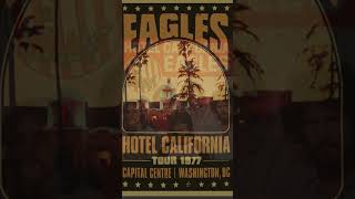 What Is quotHotel Californiaquot Really About [upl. by Enyala]