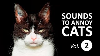 10 SOUNDS TO ANNOY CATS  Make your Cat Go Crazy HD Vol 2 [upl. by Riba]