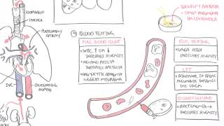 PART II  Pneumonia Transmission Causative Agents Investigations Management [upl. by Natka]