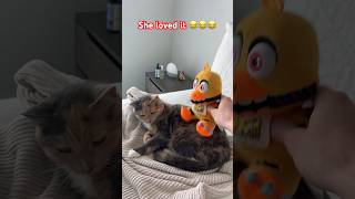 Withered Chica VS CAT 😂😂😂 plushtoys fnaf fnafplush fnafplushies fnafmemes [upl. by Noffets]