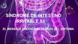 Biodescodificación Del Síndrome de Intestino Irritable Colon Irritable [upl. by Carline269]