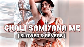 Chali Samiyana Me lofi  SlowedReverb  Bhojpuri Lofi Song [upl. by Anyg]