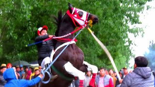 El Magia Negra  Sebastián Almendras quotEl Cuarto De Millaquot Corridos De Caballos [upl. by Keil]