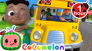 Wheels on the Bus 🚌 CoComelon  Its Cody Time  Nursery Rhymes and Kids Songs  After School Club [upl. by Cinamod58]