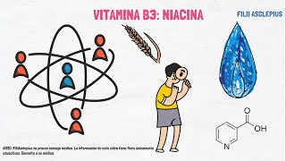 VITAMINA B3 NIACINA  QUÉ ES Y PARA QUÉ SIRVE [upl. by Riancho]