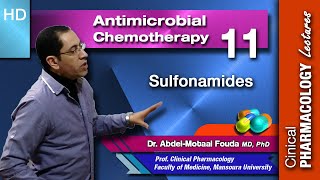 Antimicrobial Chemotherapy Ar Lecture 11 Sulfonamides [upl. by Eirhtug]