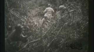 8th Infantry Division in Normandy 1944 World War II Combat Films [upl. by Yetty674]