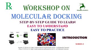 Workshop on Molecular docking  Introduction  Series1 [upl. by Yehtomit586]